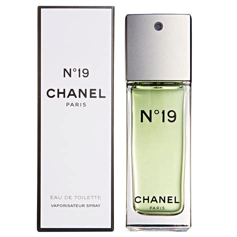 chanel no19 100ml|chanel no 19 price.